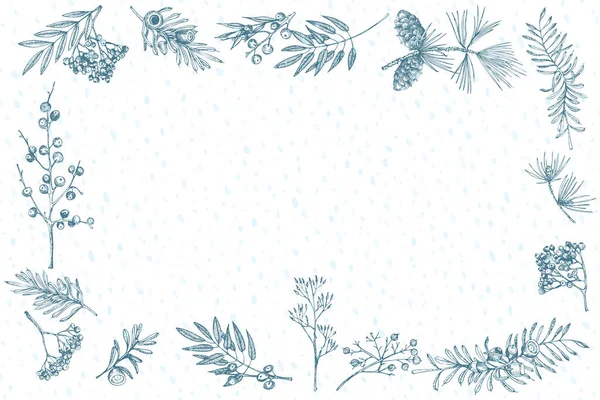 Bosquejo dibujado a mano marco de plantas navideñas con conos de pino, bayas, ramas, hojas en estilo grabado. Frontera herbal vintage. Decoración retro de Navidad Gráfico de bodas Hola, invierno. Vector. — Vector de stock