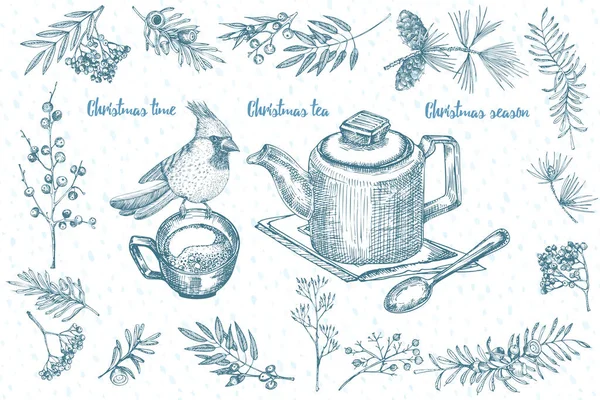 Bosquejo dibujado a mano marco de plantas navideñas con conos de pino, bayas, ramas, hojas en estilo grabado. Frontera herbal vintage. Decoración retro de Navidad Gráfico de bodas Hola, invierno. Vector. — Archivo Imágenes Vectoriales