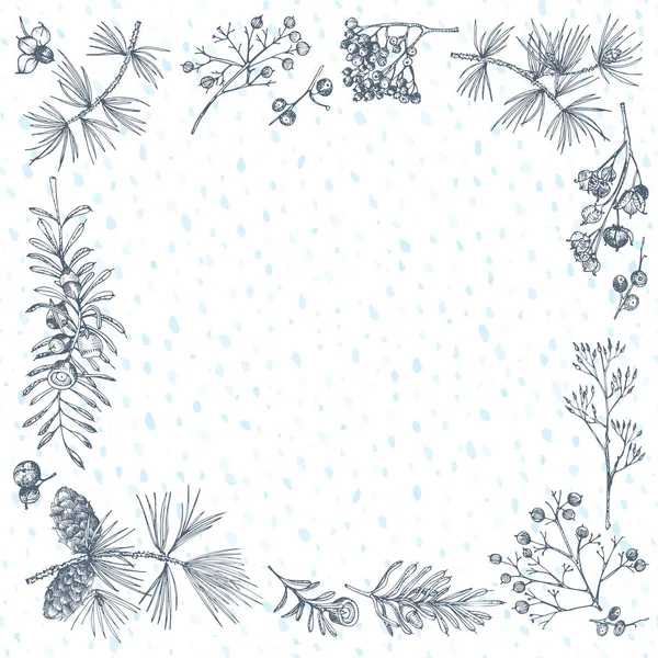 Bosquejo dibujado a mano marco de plantas navideñas con conos de pino, bayas, ramas, hojas en estilo grabado. Frontera herbal vintage. Decoración retro de Navidad Gráfico de bodas Hola, invierno. Vector. — Vector de stock