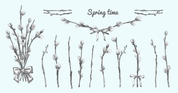 Pussy Willow branches set. Spring bouquet with ribbon bow. Hand-drawn sketch black and white design isolated on blue background. Outline Sunday Easter symbol collection. Vector. — Vector de stock