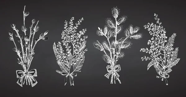 Pussy Willow, mimosa branches set. Spring bouquet with ribbon bow. Chalk Hand-drawn sketch black and white design isolated on chalkboard background. Outline Sunday Easter symbol collection Vector — 图库矢量图片