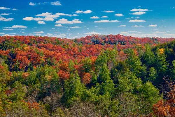 Hermosos Colores Otoño Red River Gorge —  Fotos de Stock