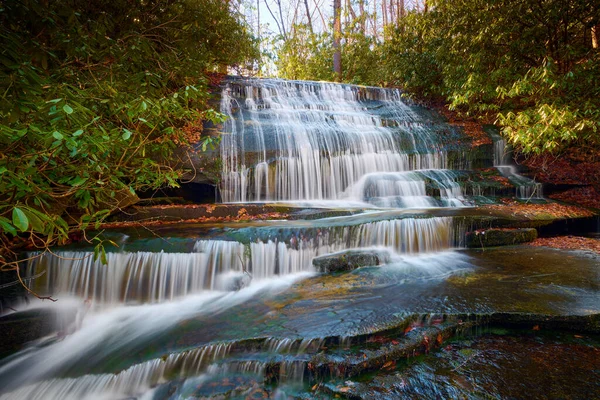 Grogan Creek Falls Lub Falls Grogan Creek Znajduje Się Puszczy — Zdjęcie stockowe