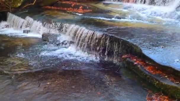 Grogan Creek Follsの4KビデオがBrevard Nc近くのPisgah国立の森にあります — ストック動画