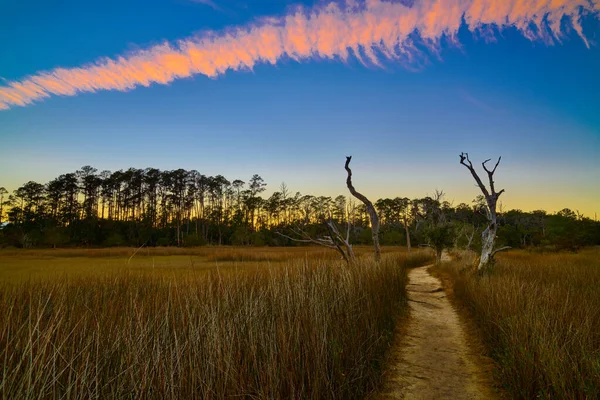 Tramonto Sul Sentiero Aereo Skidaway Island State Park — Foto Stock