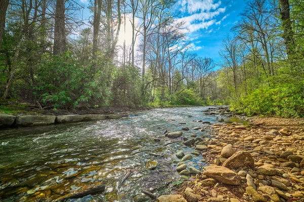 Mills River Pisgah National Forest Carolina Del Norte — Foto de Stock