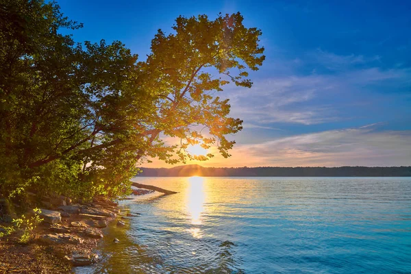 Schiefer Baum Ufer Des Cave Run Lake Mit Untergehender Sonne — Stockfoto