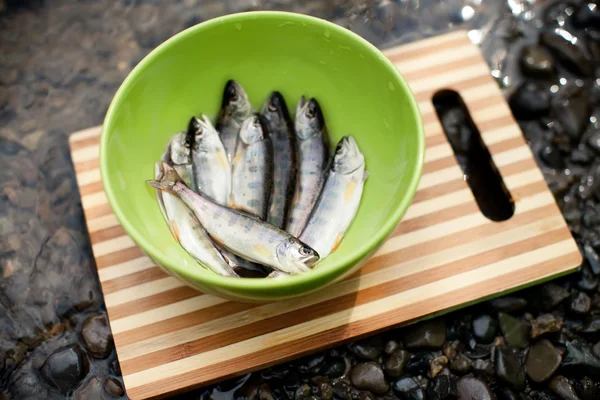 Fresh catch of fish — Stock Photo, Image