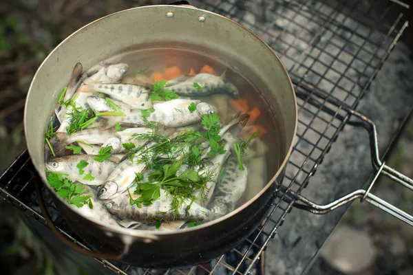 Preparing a soup of fish — Zdjęcie stockowe