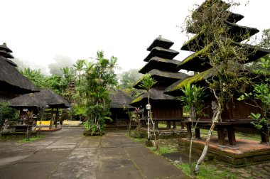 Bali - 2 Ocak: pura luhur batukaru Tapınağı üzerine 2 Ocak 201