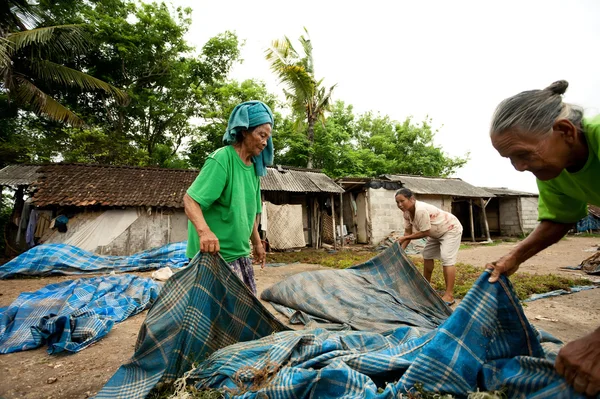 Lembongan - 5 GENNAIO: Le donne asciugano le alghe, il 5 gennaio 2013 — Foto Stock