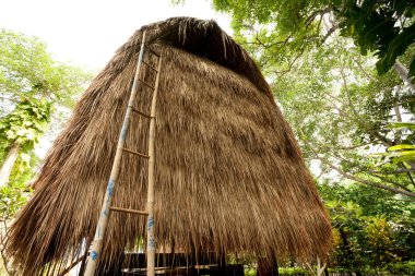 saz çatı bungalow resort tropikal, lembongan Adası, indon
