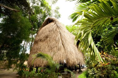 saz çatı bungalow resort tropikal, lembongan Adası, indon