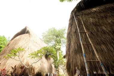 saz çatı bungalow resort tropikal, lembongan Adası, indon