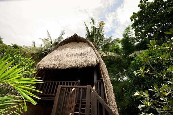 saz çatı bungalow resort tropikal, lembongan Adası, indon