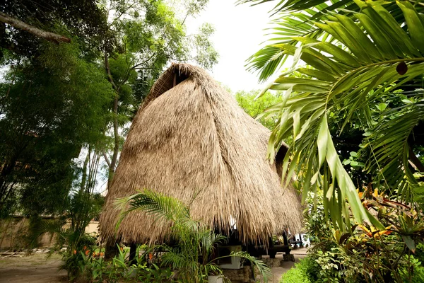 saz çatı bungalow resort tropikal, lembongan Adası, indon
