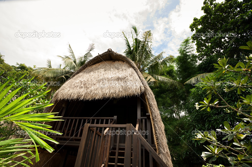 Thatch roof bungalow at tropical resort, Lembongan island, Indon