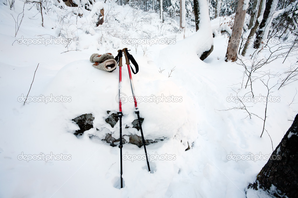 Trekking poles at winter forest