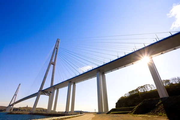 Askılı köprü Rus Adası'na. Vladivostok. Rusya.