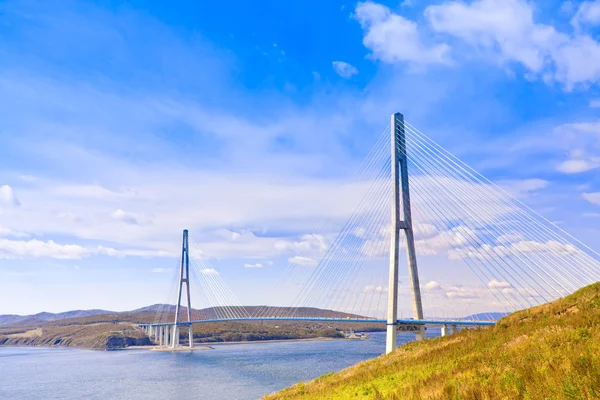 Askılı köprü Rus Adası'na. Vladivostok. Rusya.