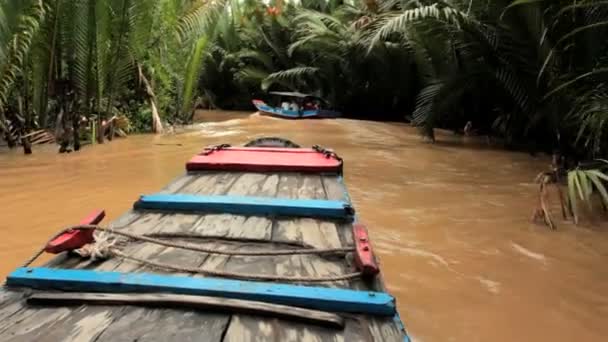 Barco en un canal en el delta del Mekong, Vietnam — Vídeo de stock