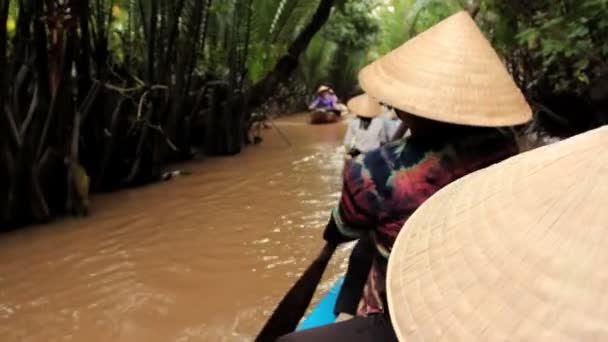 Mekongdelta, vietnam - 24 juli: vrouw rijen een boot op een kanaal, — Stockvideo
