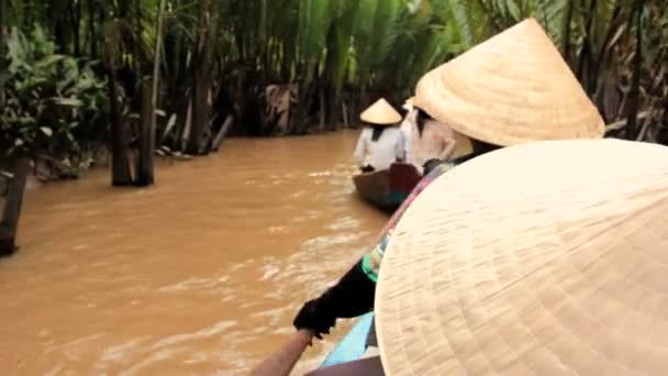 Вьетнамская женщина гребёт на лодке по каналу в дельте Меконга, Вьетнам — стоковое видео