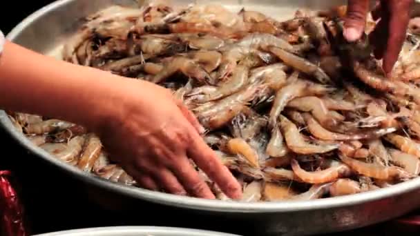 虾被搅动的手在一个露天海鲜市场. — 图库视频影像