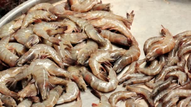 Camarones, langostinos y otros mariscos frescos en el puesto del mercado de pescado . — Vídeo de stock