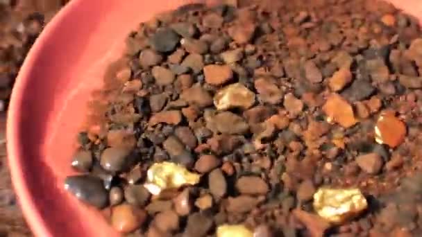 Je cherche de l'or. bits d'or réels dans la casserole .