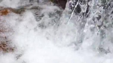 sonbahar ormandaki saf temiz su şelale