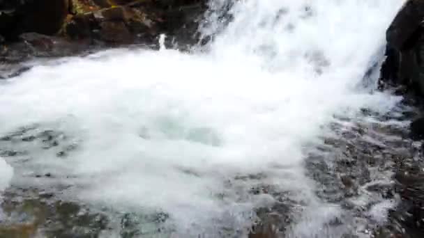 Cascade d'eau douce pure dans la forêt d'automne 