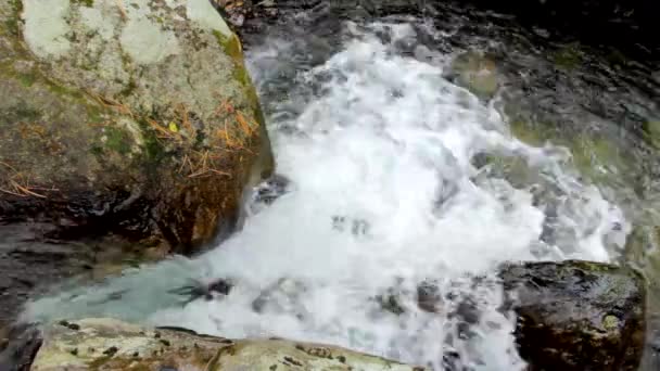 Pure fresh water waterfall in autumn forest — Stock Video