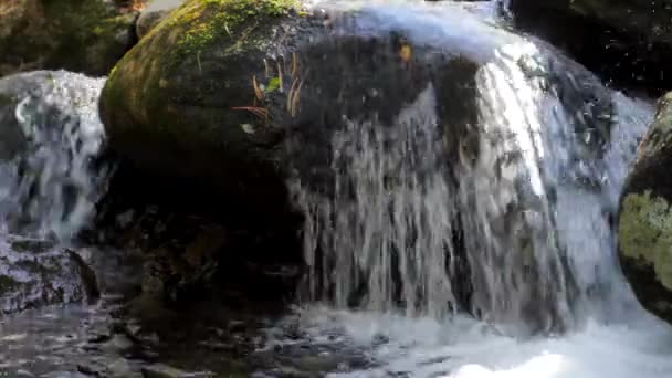 Чистий прісний водоспад в осінньому лісі — стокове відео