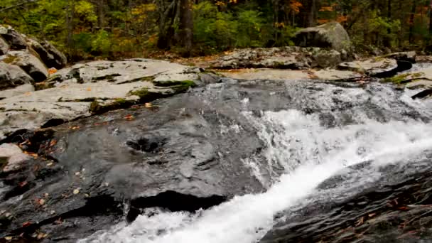 Rent färskt vatten vattenfall i höst skog — Stockvideo