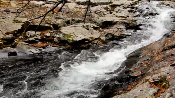 Pure fresh water waterfall in autumn forest — Stock Video