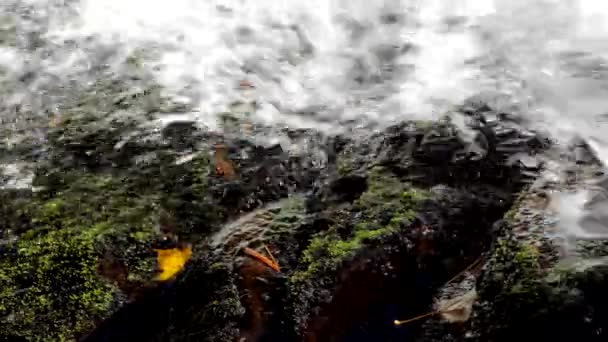 Чистий прісний водоспад в осінньому лісі — стокове відео