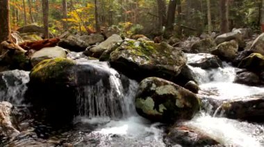 sonbahar ormandaki saf temiz su şelale