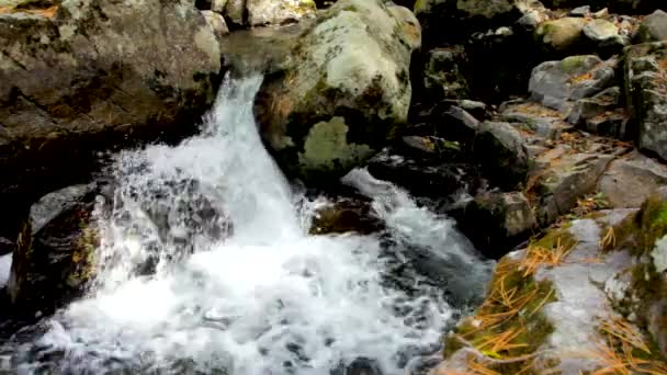 Pure fresh water waterfall in autumn forest — Stock Video