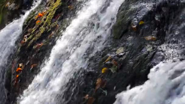 Vodopád v podzimním lese — Stock video