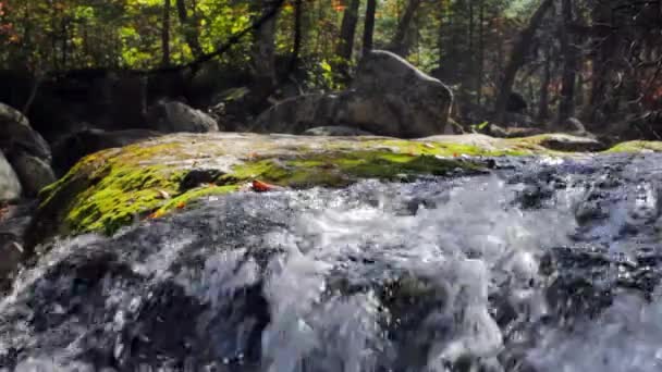 Vattenfall i höstskogen — Stockvideo