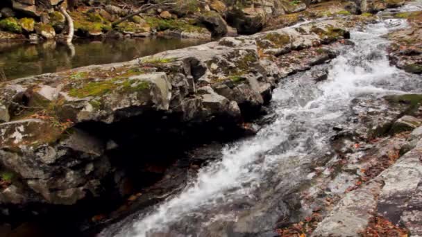Водопад в осеннем лесу — стоковое видео