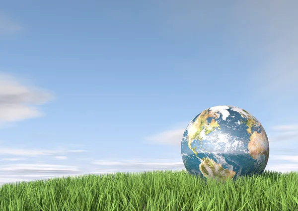Earth in tall grass — Stock Photo, Image