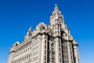 Royal Liver Binası, Eylül 2020 'de Liverpool' da açık mavi gökyüzünün altında görüldü..