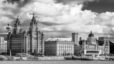Royal Iris, Liverpool 'un dünyaca ünlü rıhtımında bulunan Three Graces' in önünde Ekim 2020 'de Wirral' de yakalandı..
