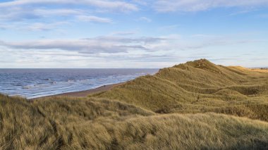Altın kış güneşi Liverpool yakınlarındaki Formby 'deki kum tepelerindeki Marram çimlerine düşüyor..