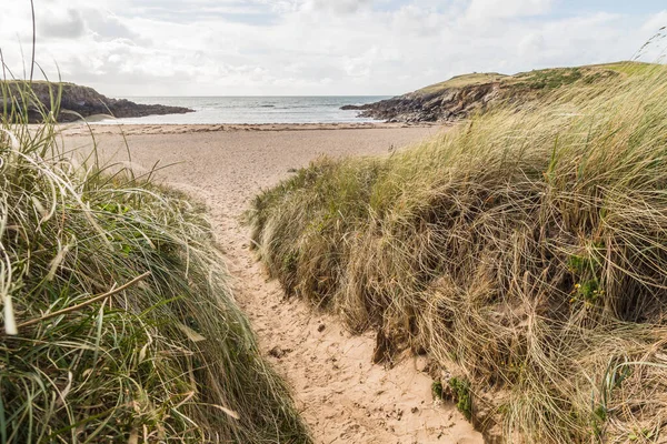 Trail Sand Dunes Porth Nobla Anglesey Coast North Wales Seen — Stock Photo, Image
