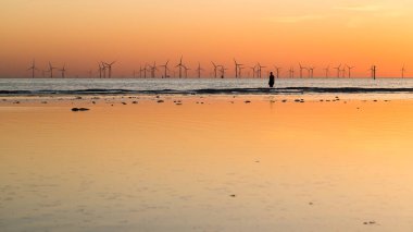 2021 Nisan 'ında gün batımında bir Demir Adam' ın arkasında hala su vardır. Heykel, Liverpool yakınlarındaki Crosby Sahili 'nde Antony Gormley tarafından yaratılan 100 Demir Adam' dan oluşan başka bir yerin parçası..