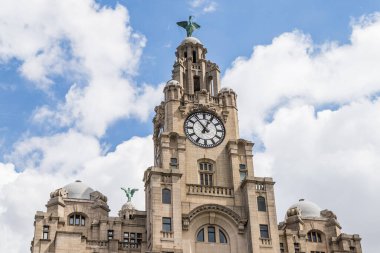 Bu iki karaciğer kuşu, Mayıs 2021 'de görülen ünlü Liverpool silueti üzerindeki Kraliyet Karaciğer Binası' nın tepesinde resmedildi..