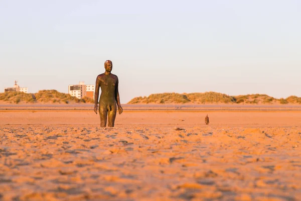Due Delle Cento Statue Iron Men Sulla Spiaggia Crosby Vicino — Foto Stock